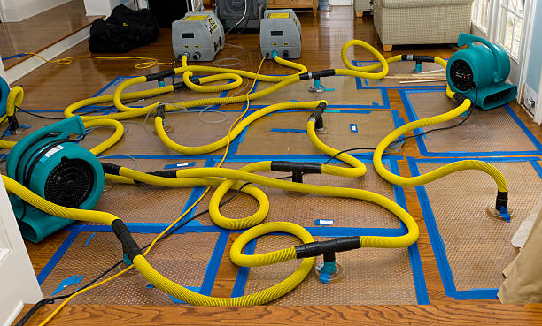 Professional Water Damage Repair technician working in Homestead, FL